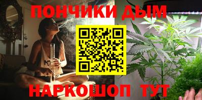 сатива Гусиноозёрск