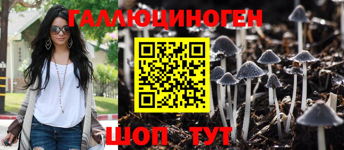 Малгобек  Псилоцибиновые грибы мухоморы  Вход с VPN 